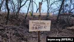 Братская могила в лесополосе вблизи с. Пятихатки