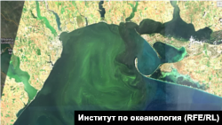  Сателитните данни от Sentinel 2 демонстрират, че и сега в Одеския залив не престават да се следят цъфтежи на синьо-зелени водорасли, присъщи при ниска соленост. 