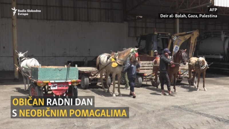 'Konji s manirima': Okolišna inicijativa u Gazi