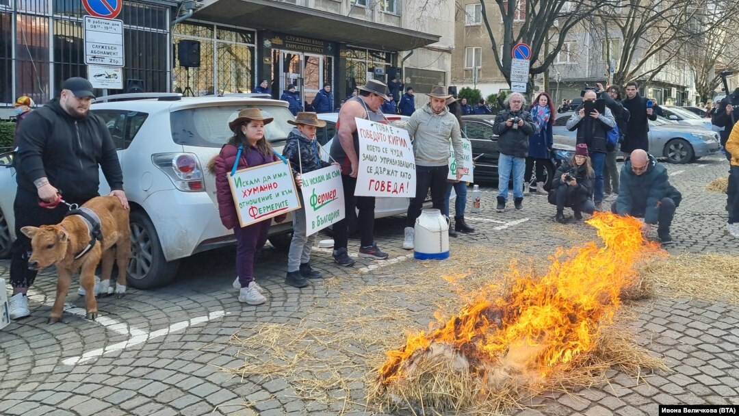 Протест на земеделци пред Министерството на земеделието на 5 февруари. Те искат оставката на министър Кирил Вътев. 