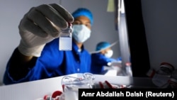 Laboratorijski tehničar drži vakcinu Sinovac, Egipat, 31. augusta 2021.