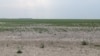Уряд заборонив нецільове використання земель Каховського водосховища