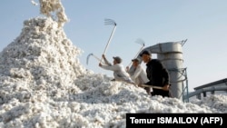 For many years rights groups called on Uzbekistan to eradicate a long-running state-controlled system forcing millions of citizens, including children, to pick cotton to meet harvest quotas.
