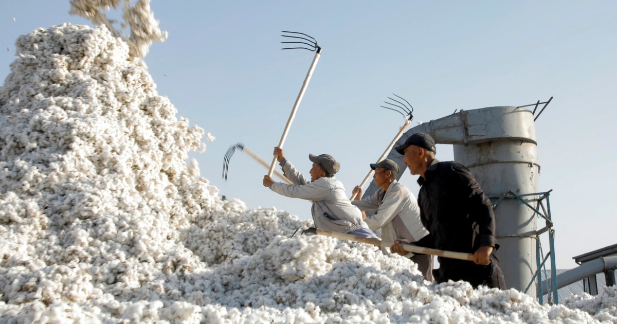 EU Set To Blacklist Uzbek Cotton Pulp Firms Linked To Russian Military