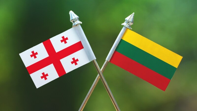 Посольство Литвы ответило «Мечте»: государство не отвечает за европарламентариев