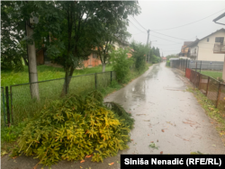 Vjetar rušio stabla u Banjaluci, 21. juli 2023.