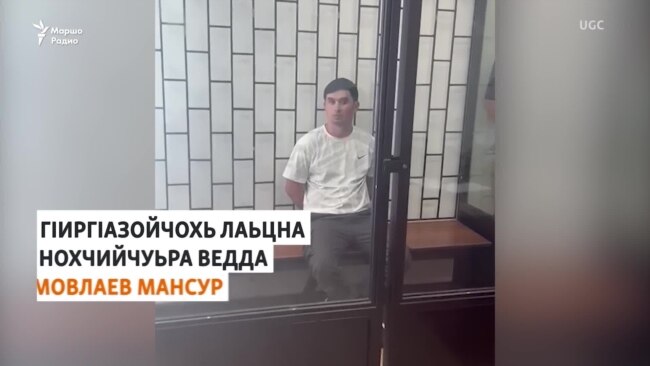 Нохчийчуьра ведда Мовлаев Мансур лаьцна ГIиргIазойчохь