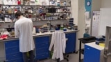 Chemicals laboratory in University College, London, UK - AP screengrab