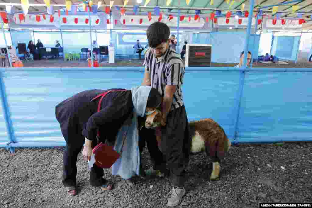 An Iranian woman kisses her sacrificial sheep for Eid al-Adha celebrations at a cattle market in Tehran.