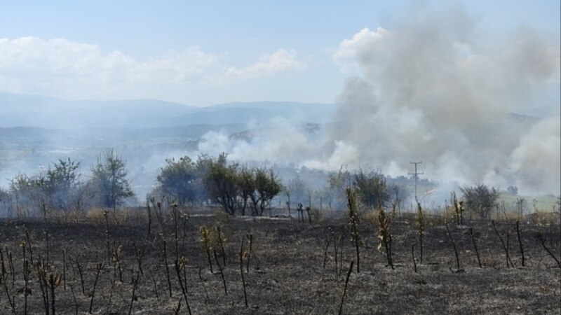 Се уште гори кај Богданци, изгорени над 500 хектари