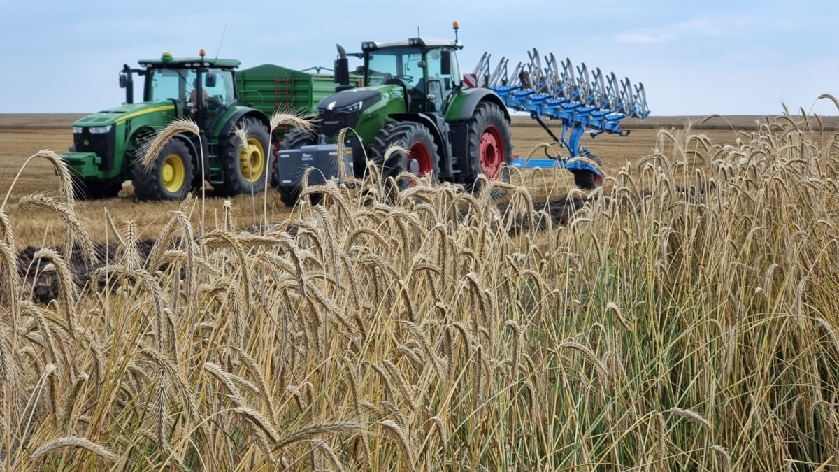 The EU did not extend the embargo on grain imports from Ukraine