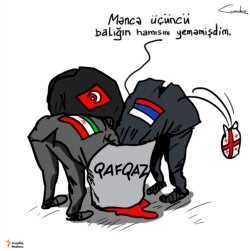 Üçüncü balıq