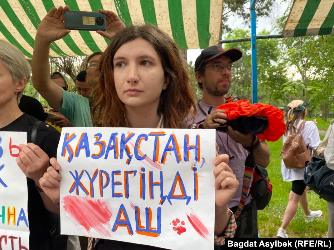 Убийство бродячих животных — бизнес на крови». Как прошёл митинг против  жестокого обращения с животными