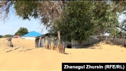 Дома в селе Жылтыр под песком