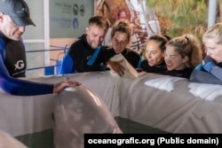 Îngrijitori de la Oceanografic alături de una dintre belugile salvate.