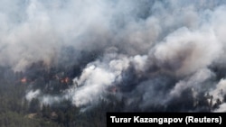 Дым от лесных пожаров поднимается над лесополосой в восточной части Абайской области. 12 июня 2023 года