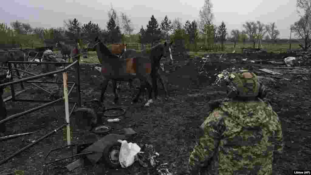Ezért döntöttek úgy az ukrán katonák és civil segítőik, hogy elszállítják az állatokat