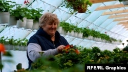 Maria Josan cultivă plante de camere în satul Ciorești, raionul Nisporeni