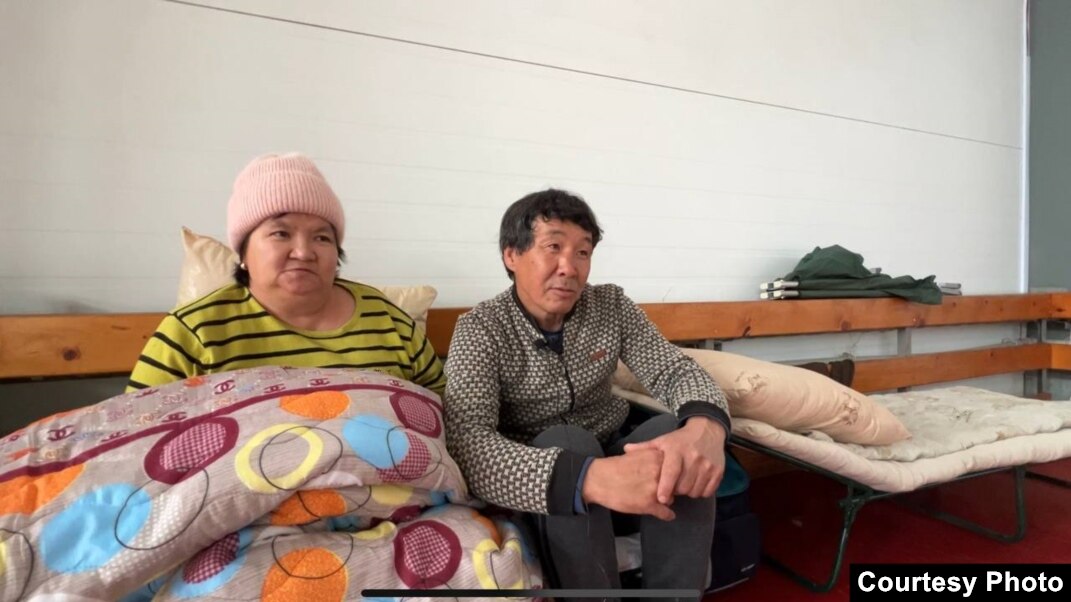 Порно фильмдерді онлайн көру