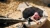 A Palestinian smuggler prepares to smuggle fuel into Gaza through a tunnel beneath the Egyptian-Gaza border November 17, 2008