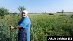 62-річна Тетяна на своєму полі з однією з уцілілих корів. Фото: Якуб Лайхтер (©)
