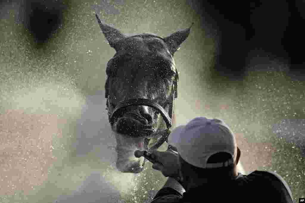 Konj Grand Mo The First, sudionik Kentucky Derbyja, dobiva vodu nakon treninga, Louisville, SAD, 2. maja 2024.