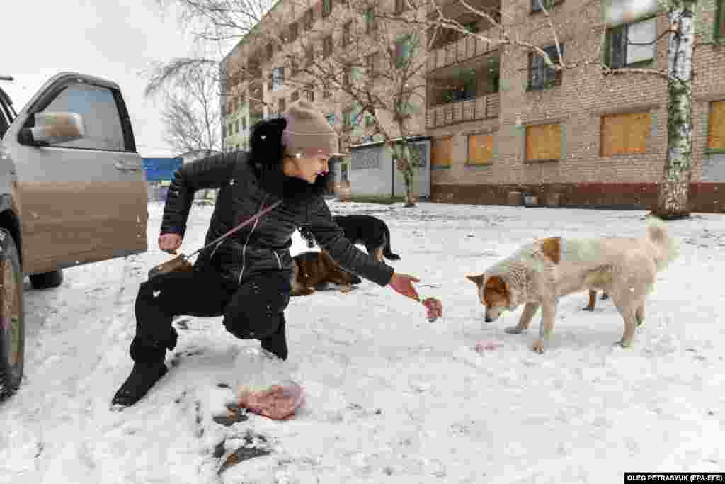 În ciuda riscurilor, voluntari precum Iulia continuă să întindă mâna și să aibă grijă de animalele epuizate.