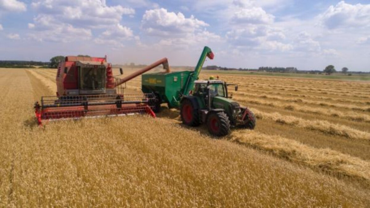 Полша иска удължаване на забраната за внос на украинско зърно.