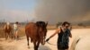 Lovakat menekítenek ki a Kuvarasz-közeli Kalívia faluban 2023. július 17-én. A tűz a fővárostól mintegy negyven kilométerre délkeletre fekvő Kuvaraszban tört ki hétfőn