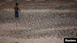 Dečak šeta po suvom delu potoka Igarape do Taruma koji se uliva u reku Rio Negro, dok je nivo vode u velikoj rečnoj luci u brazilskoj amazonskoj prašumi u Manausu u Brazilu pao na najniži nivo za poslednju 121 godinu.