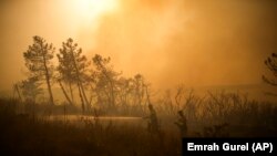 Fotografi ilustruese nga lufta e zjarrfikësve me zjarret që goditën zonat përreth Stambollit të Turqisë, më 26 korrik 2023.