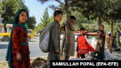 تعدادی از کودکان فقیر در کابل 