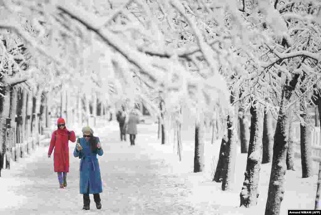 Pedestrians walk under snow-covered trees after heavy snowfall in Kosovo&#39;s capital, Pristina.