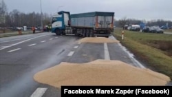 Учасники блокування кордону з Україною висипали українське зерно на дорогу поблизу пункту пропуску «Дорогуськ-Ягодин», 11 лютого 2024 року