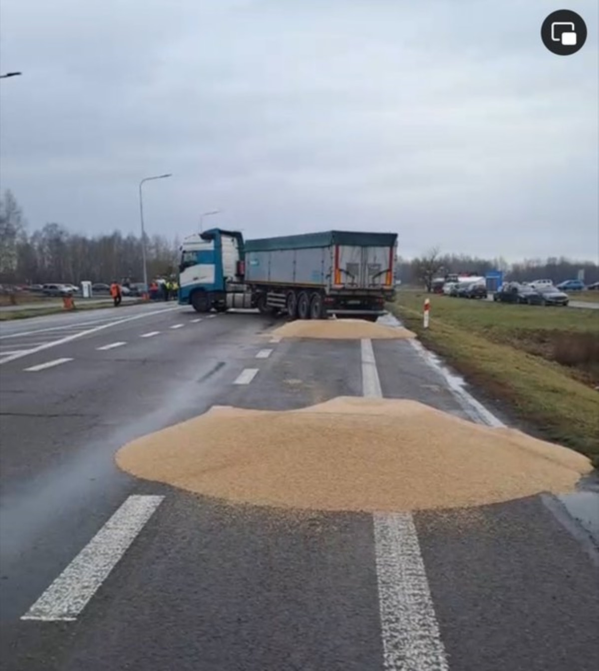 Grain spilled by participants blocking the border with Ukraine near the Dorohusk-Jahodyn checkpoint in Poland on 11 February 2024