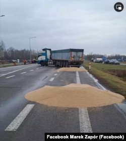 Розсипане учасниками блокування кордону з Україною зерно. Польща, поблизу пункту пропуску «Дорогуськ-Ягодин», 11 лютого 2024 року