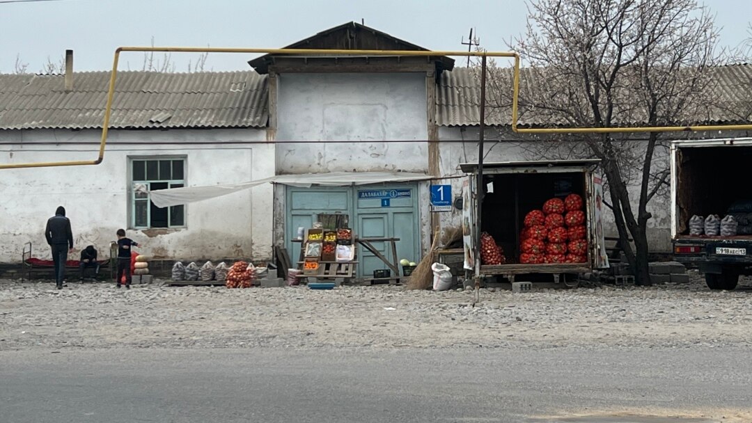 Олар қалыңдықты тойда ғана сиқтырды Қыз жігітті байлап тастады