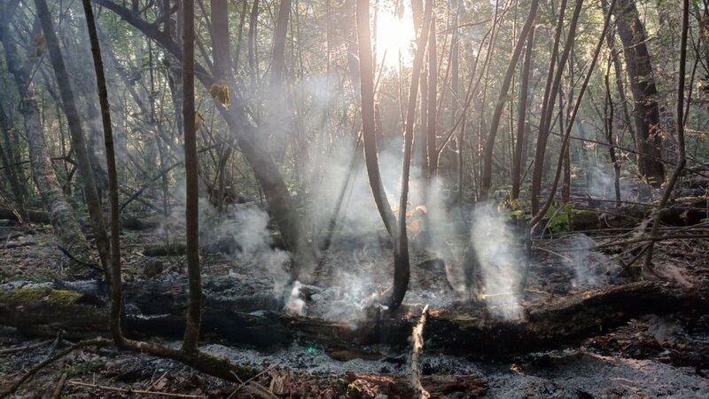 В лесопарке Казани вновь тушат пожары. Активисты подозревают поджог