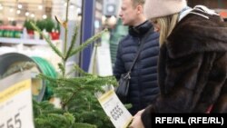 Цены на новогодние елки в петербургском магазине