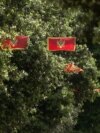 Montenegrin flags, Independence Day, Podgorica, Montenegro