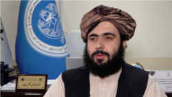 حمدالله فطرت - معاون سخنگوی طالبان
