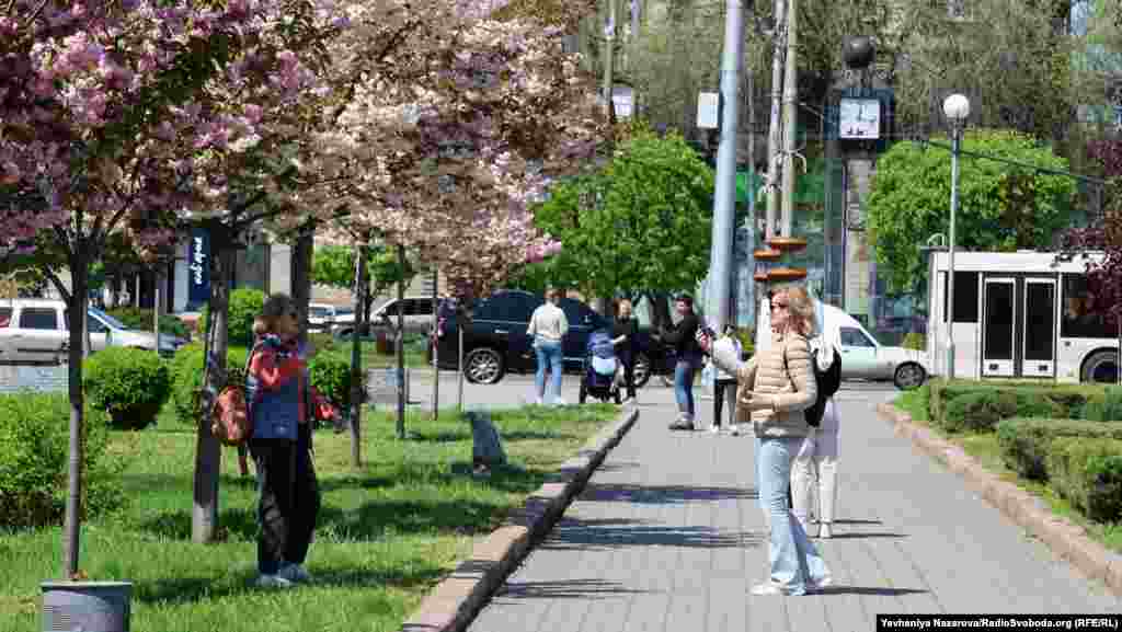 Усі хочуть сфотографуватися на алеї сакур в центрі міста