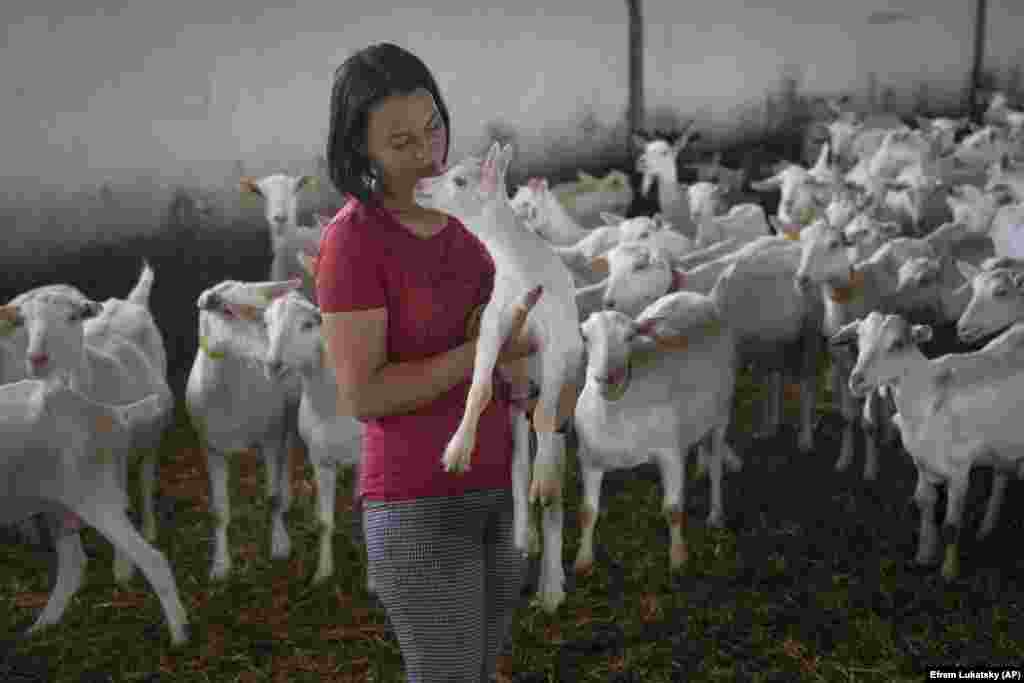 A farm worker holds a goat on a private farm in Zhurivka, in the Kyiv region, Ukraine.