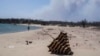 Plajă pârjolită de incendiu în sudul insulei Rodos, Grecia, luni 24 iulie 2023.