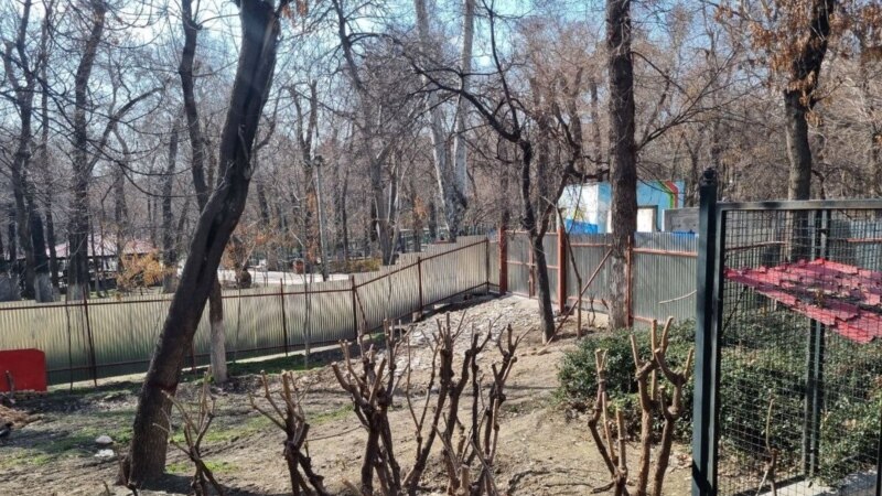هزاران نفر به کارزار مجازی مخالفت با ساخت مسجد در پارک قیطریه پیوستند