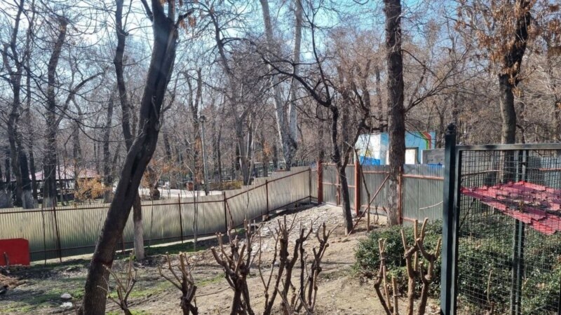 معاون میراث فرهنگی تهران: حصار برای ساخت مسجد در پارک قیطریه برداشته شد