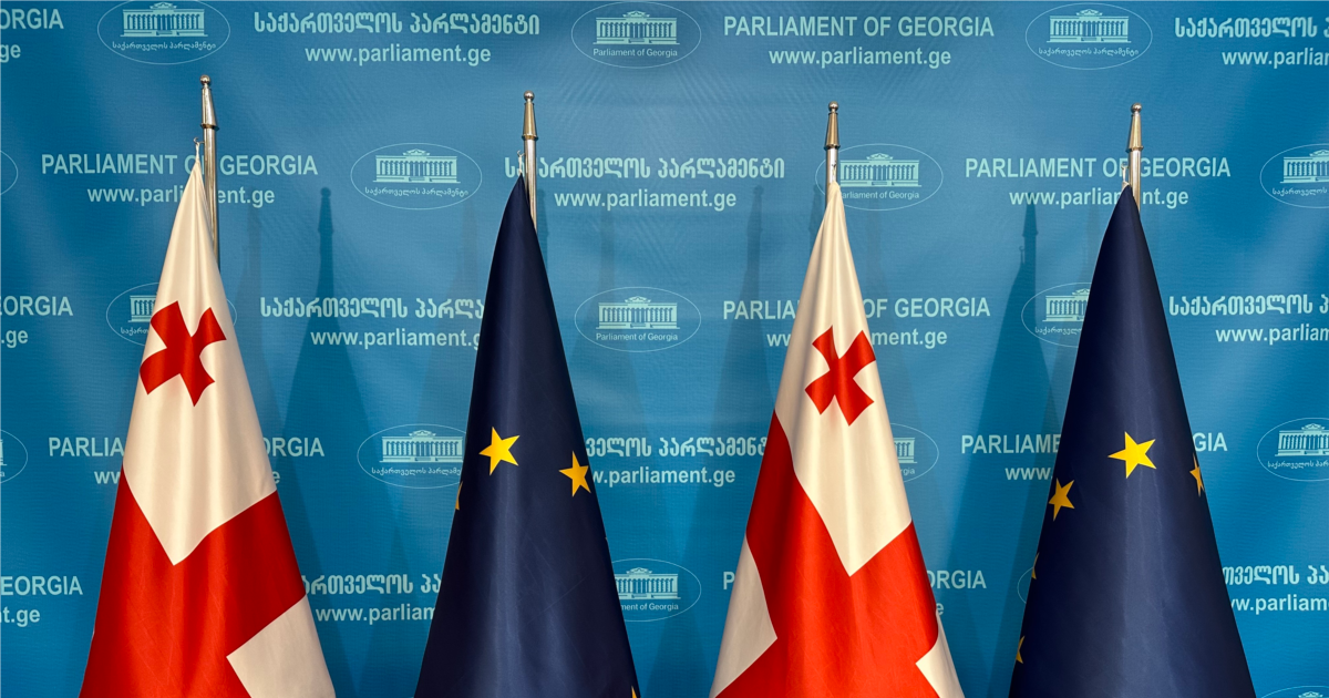 27 ქვეყნის საელჩო: "განცხადებები ჩვენ მიერ ძალადობისა და ექსტრემიზმის მხარდაჭერის შესახებ უბრალოდ სიმართლე არ არის"