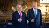 Wengriýanyň premýer-ministri Wiktor Orban (çepde) we Donald Tramp