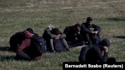 Затримані словацькою поліцією мігранти, які незаконно перетнули словацько-угорський кордон, 15 вересня 2023 року