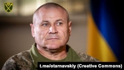 «Триває ведення наступальної операції на Мелітопольському напрямку», додає Олександр Тарнавський